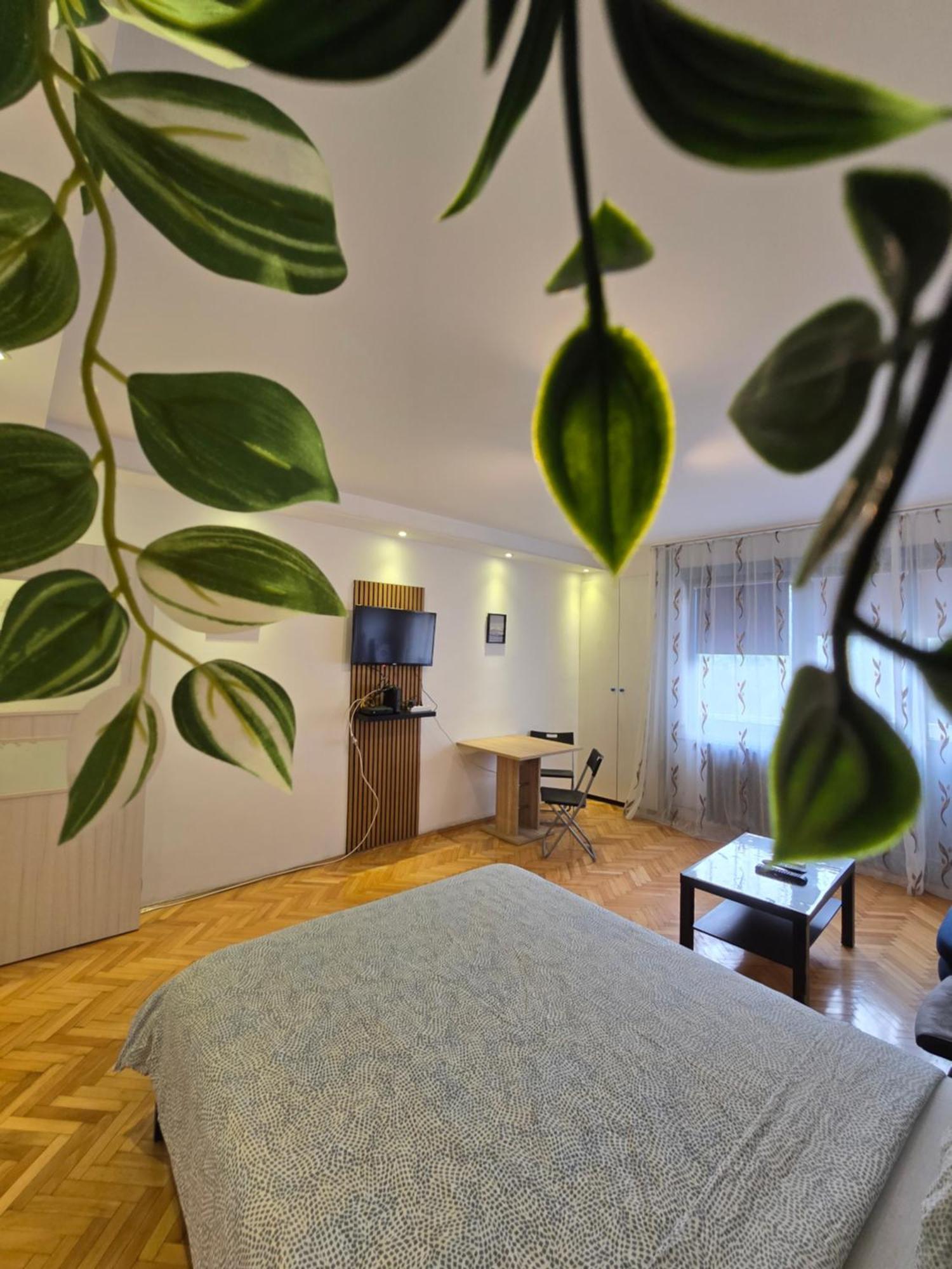 Azzurro Studio Apartment Белград Екстер'єр фото