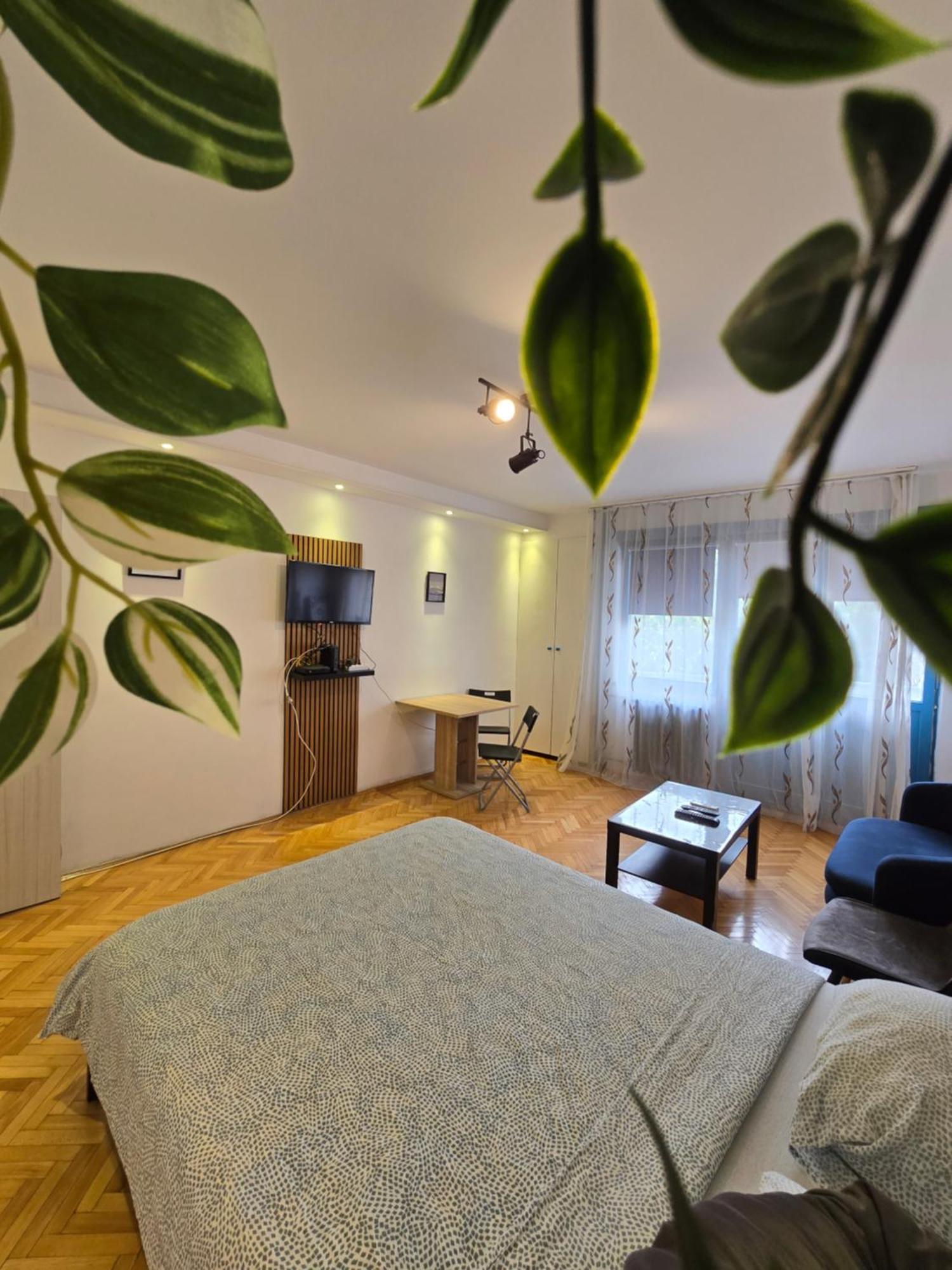 Azzurro Studio Apartment Белград Екстер'єр фото